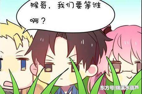 IM电竞官网