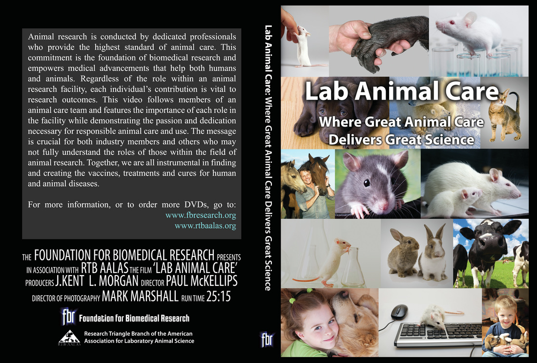 IM电竞平台-2016年度十大国内国际候选热词榜解读哪些事件最受关注?(图1) IM电竞平台