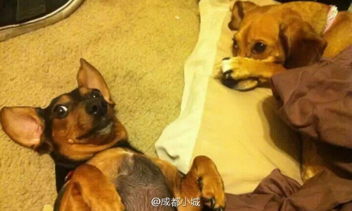 4.6亿元长江存储喜迎第一台光刻机:可造14nm3D闪存:IM电竞平台(图1) IM电竞官网